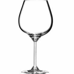 Riedel Wine Series Burgundy / Pinot Noir Wine Glasses (Set Of 4)