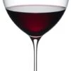 Riedel Superleggero Hermitage Glass