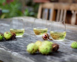 Riedel - O Series Chardonnay Wine Glasses Buy 6 Get 8 -Riedel 541400085 lifestyle 40g3i4Yx 26552.1598913863